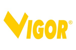 Vigor Vuemme